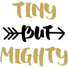baby t-shirt: tiny but mighty