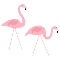 lawn flamingos