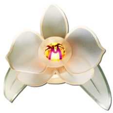 orchid tea light lantern (flameless)