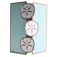 sand dollar tri-fold card