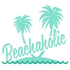 beachaholic