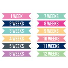 weekly baby milestone banners