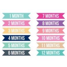 monthly baby milestone banners