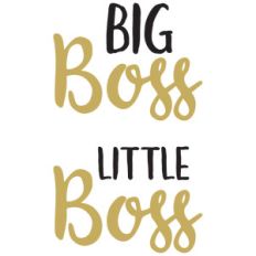 baby t-shirt set: big boss little boss