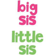 baby t-shirt set: big sis little sis