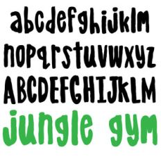 pn jungle gym