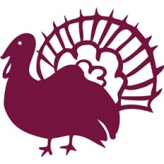 turkey