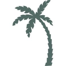 Palm Tree