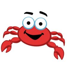 cute crab