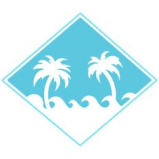 palm beach logo