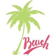 beach palm