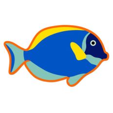 blue surgeonfish