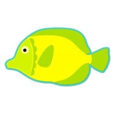 yellow tang