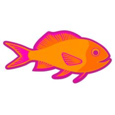 goldfish