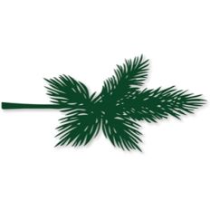 pine branch