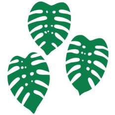 tropical leaves