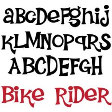 zp bike rider