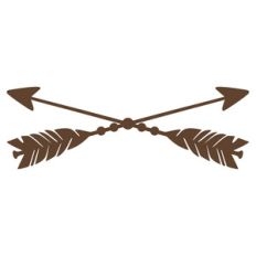 arrows