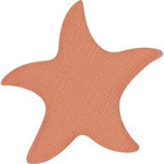 Starfish