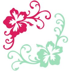 hibiscus flourishes