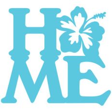 home hibiscus