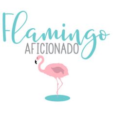 flamingo aficionado