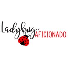 ladybug aficionado