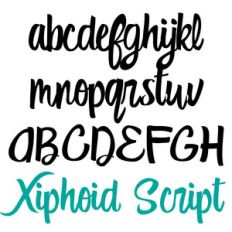 zp xiphoid script