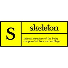 s is for skeleton pc