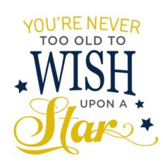 you're never too old wish phrase