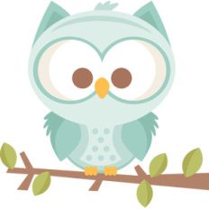 boy owl on branch
