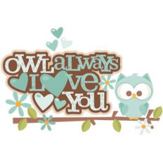 owl always love you title