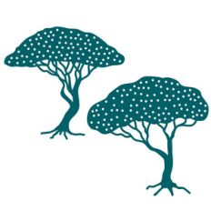 stone pine trees