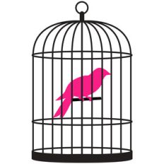 birdcage