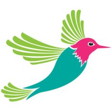 modern bird