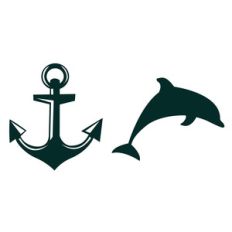 dolphin and anchor