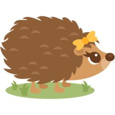 girl hedgehog