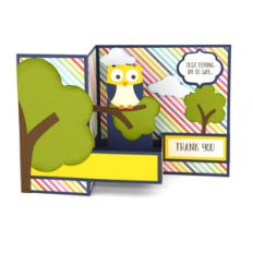 pop up box card owl