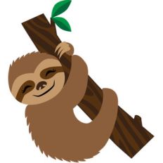 smiling sloth