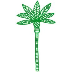 palm tree