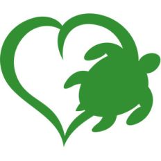 heart sea turtle