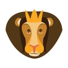 zoo friends: lion