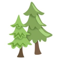 pine trees
