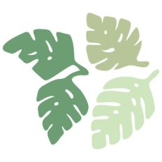 tropical leaves
