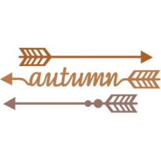arrows autumn