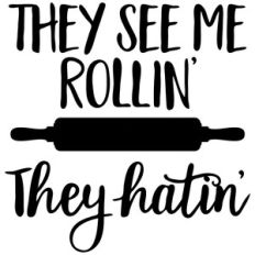 they see me rollin, they hatin