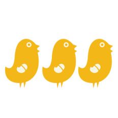 little chicks