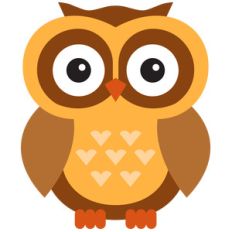 owl