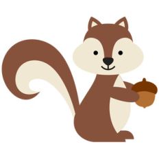 squirrel