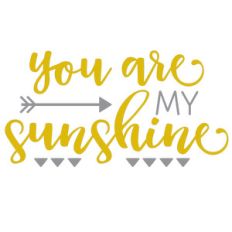 you are my sunshine phrase